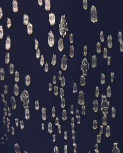 Cleme Silk Dress 15 Cleme Silk Dress -Lilly Pulitzer Shop 011824 truenavyfishclipchiffon a8 sf